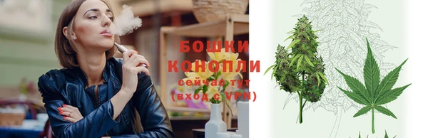 шишки Арсеньев