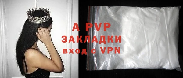 шишки Арсеньев
