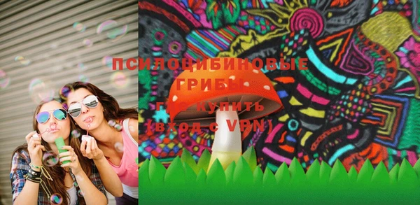 шишки Арсеньев
