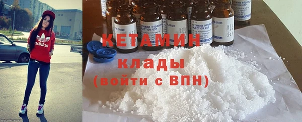 шишки Арсеньев