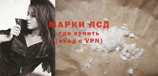 шишки Арсеньев